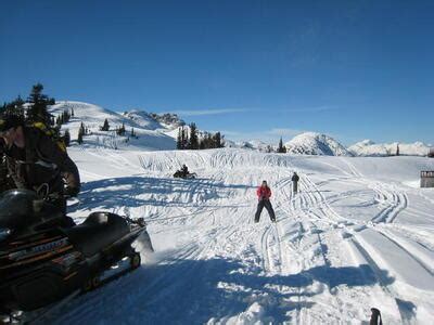 Photo: Sled tracks