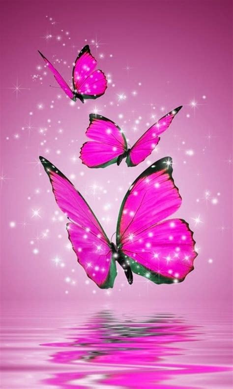 Purple Teal Butterfly Wallpapers - Top Free Purple Teal Butterfly Backgroun… in 2020 | Blue ...