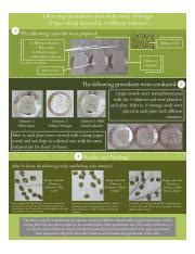 SEED EXPERIMENT.png - Observing Germination Rate of the Seeds of Mongo Vigna radiata Exposed in ...