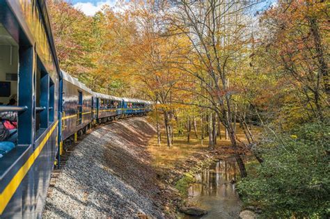 The Blue Ridge Scenic Railway Fall Foliage Train Ride In Georgia