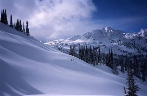 Selkirk Mountains-Great Northern Snow-Cat Skiing - Dr. Brad Bowins