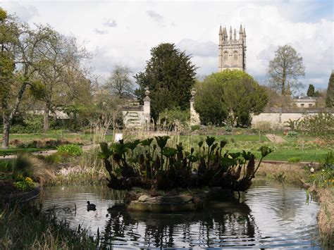 Oxford Botanic Gardens – The story of the photographs | When I Grow Up