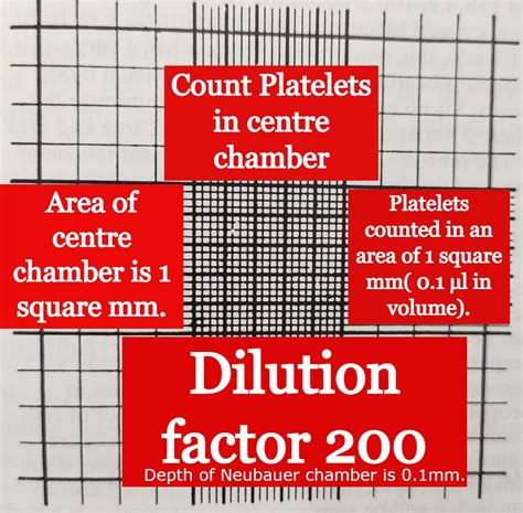 How to count Platelets by the manual method using Improved Neubauer Counting Chamber? - LEARN ...