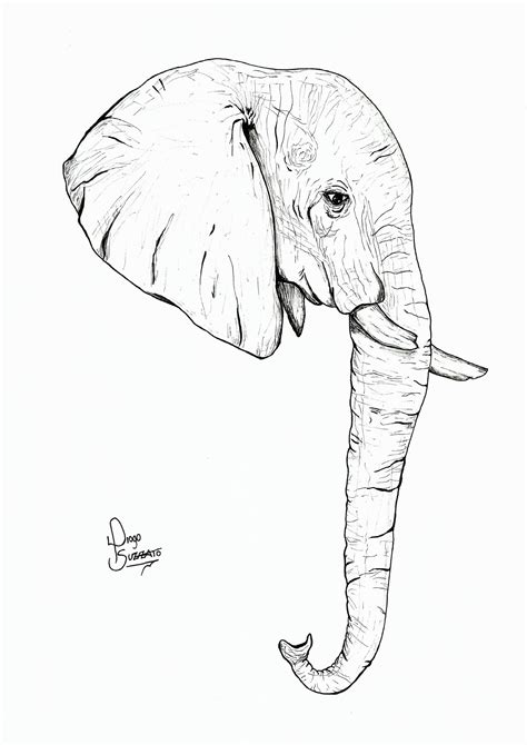 Original Draw "Elephant Head" | Elephant head drawing, Elephant design drawings, Elephant tattoos