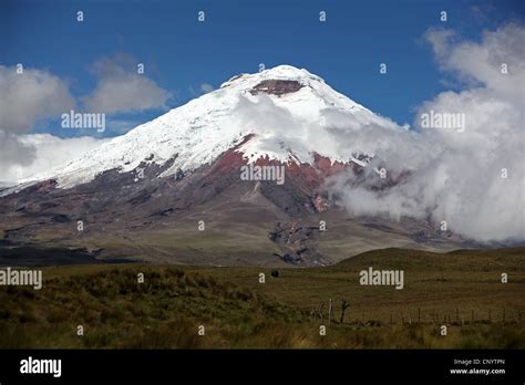 Cotopaxi volcano, Ecuador, Cotopaxi National Park Stock Photo, Royalty ...