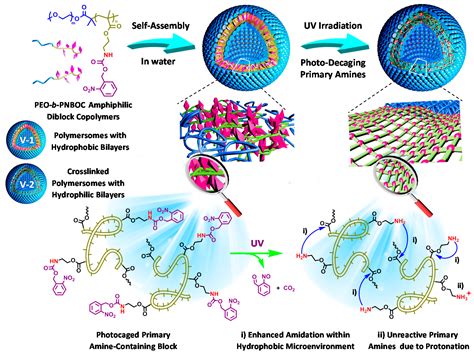 Polymers | Free Full-Text | Stimuli-Responsive Block Copolymer-Based Assemblies for Cargo ...