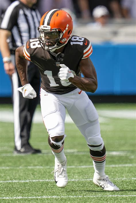 David Bell Not On Browns' Roster Bubble; Anthony Schwartz A Longer Shot ...