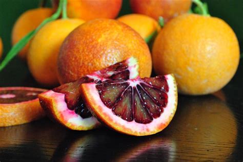 Buy Blood Orange, Buy Sanguinello Blood Orange | Fruit Maven