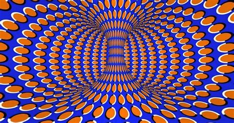 When Seeing Isn’t Believing: Optical Illusions and the Quirks of our Brains – OHS Observer