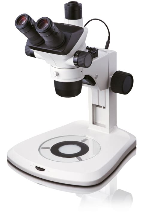 Stereoscope - Stereo Microscopes - Types Of Microscopes