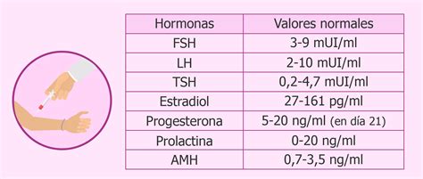 Hormonas femeninas: ¿Qué son? ¿Cuáles son? Función, tipos y mucho más