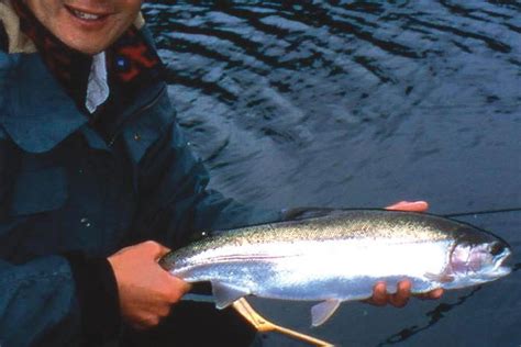 Expert tips for fishing rainbow trout • Outdoor Canada