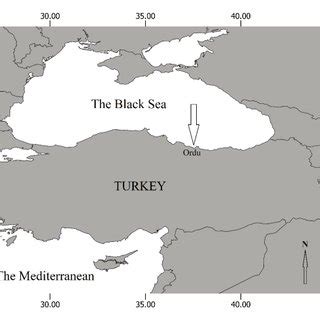 Crassostrea gigas habitat from the Black Sea littoral Turkey. | Download Scientific Diagram