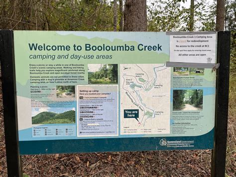 Visiting Booloumba Creek in Conondale National Park (2024)