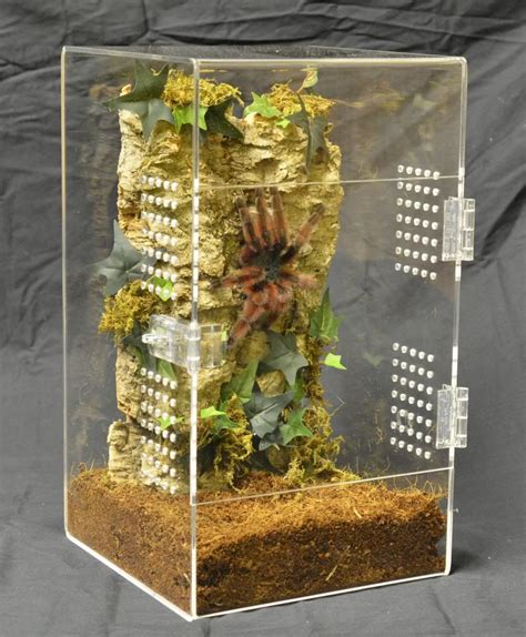 Acrylic Tarantula Enclosure Design - acrylic design