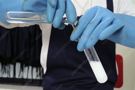 Making silver bromide - Stock Image - C024/5733 - Science Photo Library