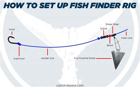 Fish Finder Rig Complete Guide (How to Tie & When to Use)