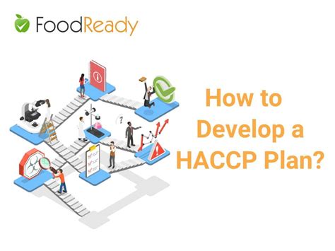 How to Write a HACCP Plan? Step-by-Step Guide with Examples