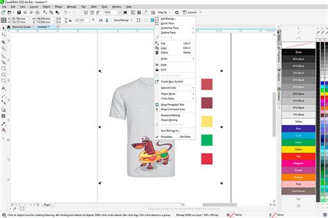 9 Best T-Shirt Design Software in 2024