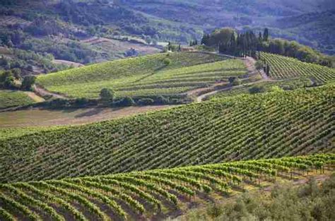 Self-Guided Wine Tour of Chianti - Wine History Tours