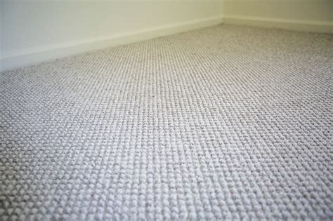 Berber Carpet For Multi Family - Traditional - Bedroom - Other - by Tidewater Flooring