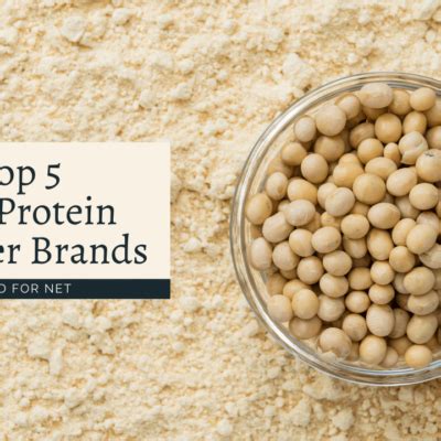 5 Best Cricket Protein Powder Brands | Food For Net