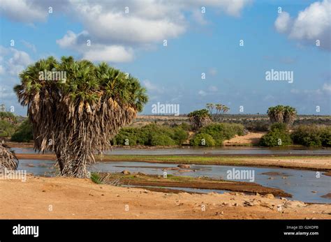 Tsavo River, Tsavo East National Park, Coast Province, Kenya Stock Photo - Alamy