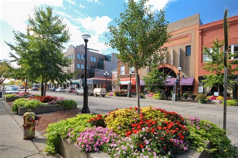 Sponsor a Flower Bed — Main Street Ann Arbor