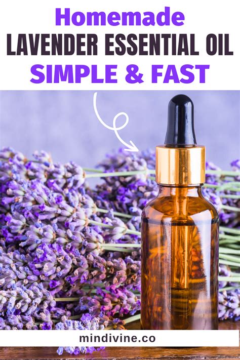 DIY Lavender Oil: The Ultimate Guide | Lavender essential oil diy ...