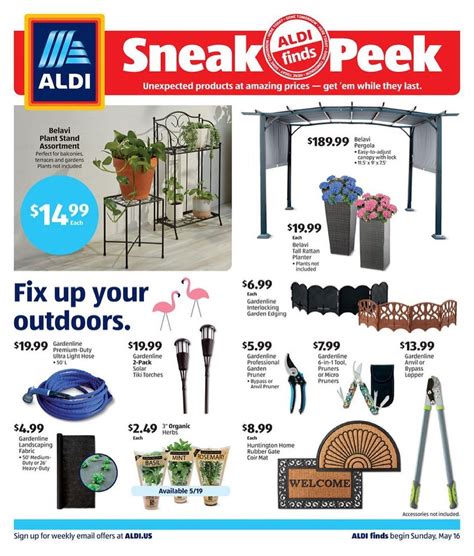 ALDI Plant Lady | Plant Tips on Instagram: “Sneak peek for next week! (Coming to @aldiusa May 16 ...