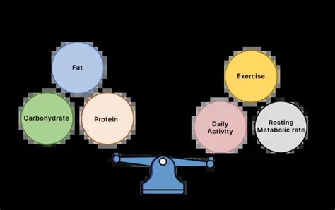 Calorie Deficit Calculator