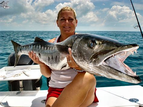 barracuda-fishing - Georgia Fishing Charters