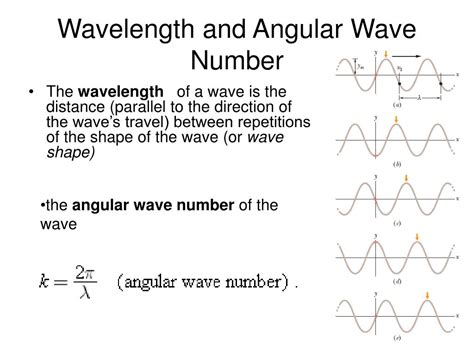 PPT - Chapter 16. Wave I PowerPoint Presentation, free download - ID:466205