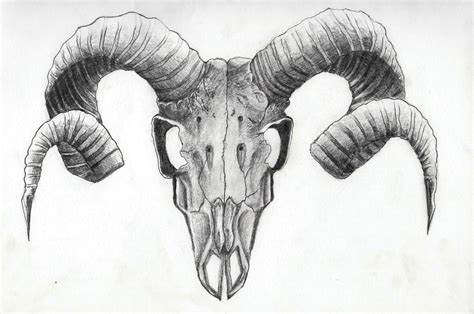 Satanic Rams Head Drawing images & pictures | Tattoo goat, Goat skull, Skull tattoos