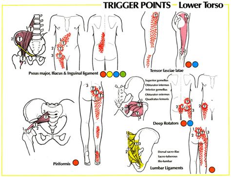 Sciatica – GadiBody