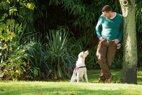 Hearing Dogs for Deaf People - Tarnside fundraising consultants