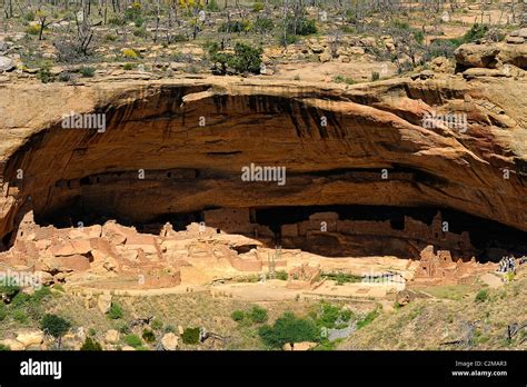 Long House, cliff dwelling in Mesa Verde National Park Stock Photo - Alamy