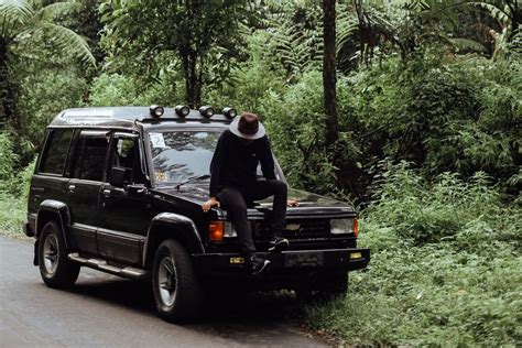 4-Wheel Drive Jungle Adventure in Alas Purwo - Encounter Endangered Species in their Natural Habitat