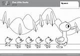 Five Little Ducks Coloring Pages  Super Simple sketch template
