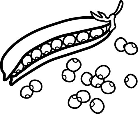 Peas Coloring Page Pea Pod Icon Png Free Transparent Clipart | My XXX Hot Girl