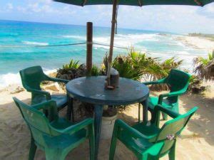 Cozumel Coconuts Bar – Cozumel Cruise Excursions