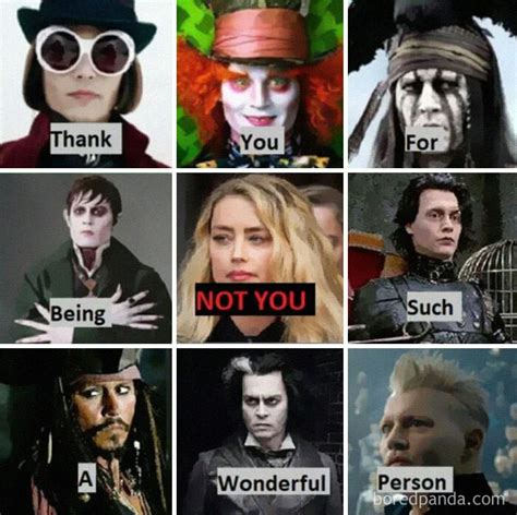 40 Of The Best "Support For Johnny Depp" Memes On The Internet