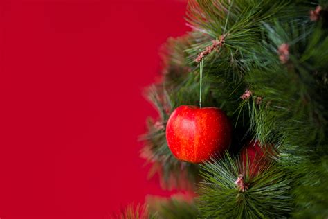 How Apples Are the Core of Christmas Tree Decorations - The Westside ...