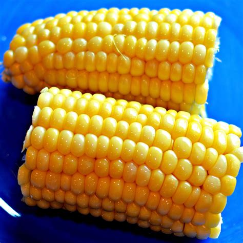 Microwave Corn On The Cob Recipe - newbritawaterchiller