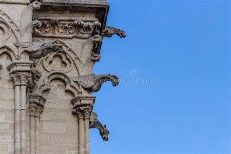 Closeup Shot of the Gargoyles on the Notre Dame Cathedral Stock Image ...