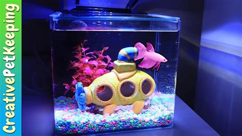 GloFish 3 Gallon Betta Aquarium Kit REVIEW - YouTube