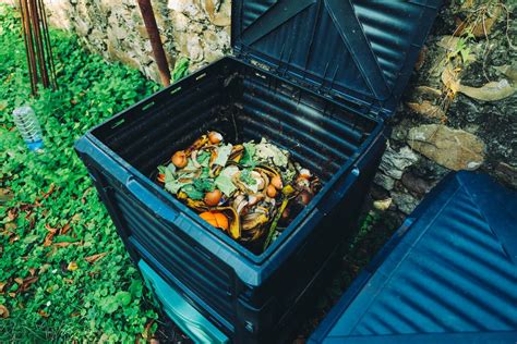 How to Make Your Own DIY Outdoor Compost Bin — A Beginner’s Guide