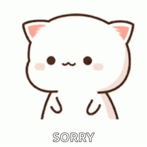 Sorry Peach Cat GIF | GIFDB.com