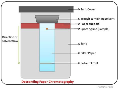 B for Biology: Chromatography - Paper Chromatography