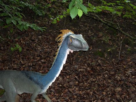 Coelophysis